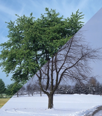 Seasonal Bedding: What to Choose for Winter and Summer