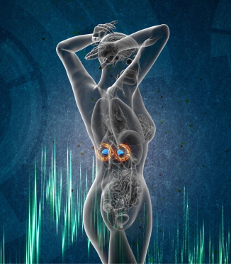 Hormones and night sweating: menopause, pregnancy, thyroid Hormones and night sweating: menopause, pregnancy, thyroid