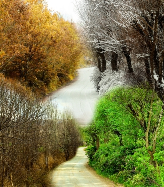 How to choose the perfect duvet for every season