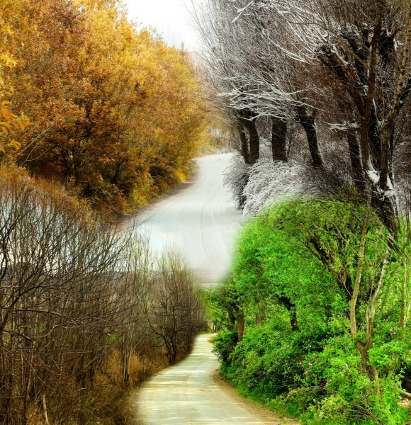 How to choose the perfect duvet for every season