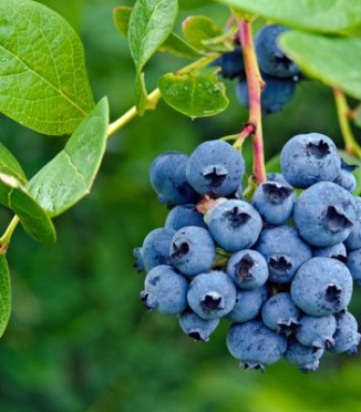 Small Daily Habits That Slow Down Aging Small Daily Habits That Slow Down Aging