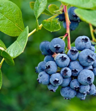 Small Daily Habits That Slow Down Aging