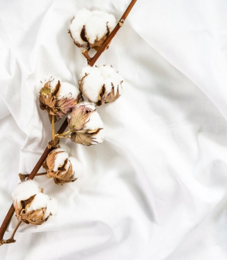 Everything About Cotton Bedding: Softness and Naturalness