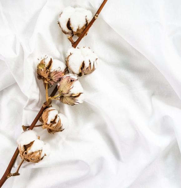 Everything About Cotton Bedding: Softness and Naturalness