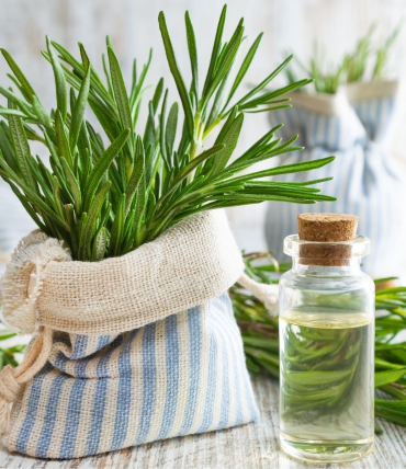 Everyday and Festive Table Decor