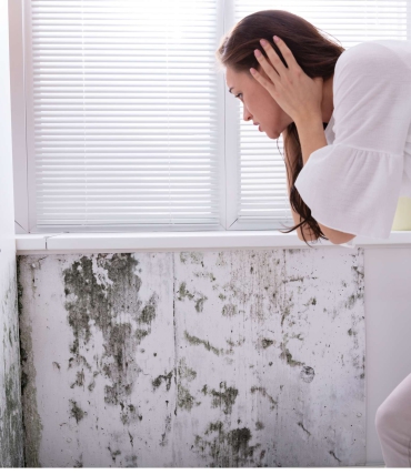 How to Remove Mold and Fungus: Effective Products