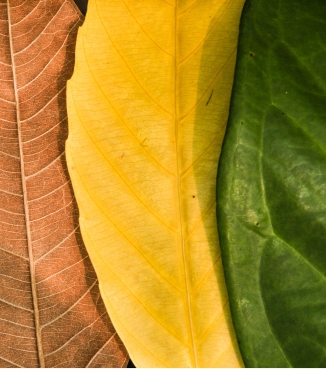 Which bedding colors are fashionable each season?