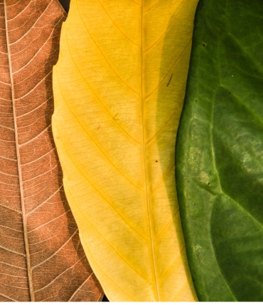 Which bedding colors are fashionable each season?