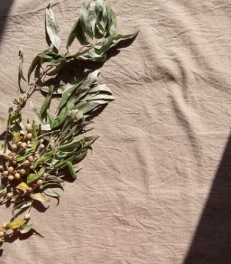 Linen fibre length – why it determines whether bedding lasts 3 or over 10 years