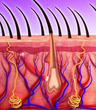 Why hair breaks and falls out in the morning — and what to do about it