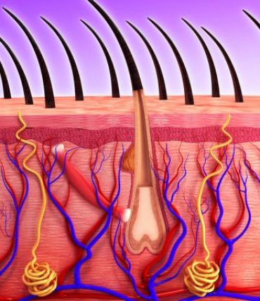 Why hair breaks and falls out in the morning — and what to do about it