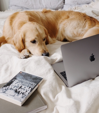 How to sleep when you have a noisy roommate