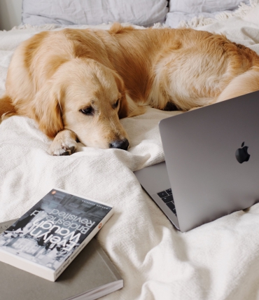 How to sleep when you have a noisy roommate