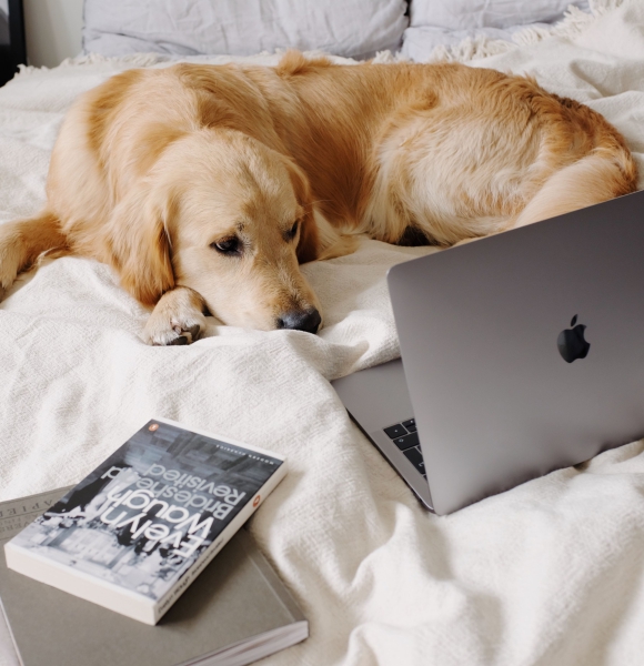 How to sleep when you have a noisy roommate