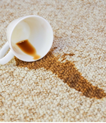 Effective Methods for Removing Stains from Carpets