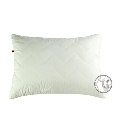 Pillow “Superwash”