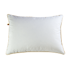 Pillow “Duck Down and Feather”