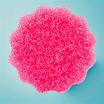 Sponge “Sqeezy Dual”. Sponges