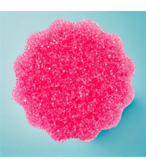 Sponge “Sqeezy Dual”. Sponges