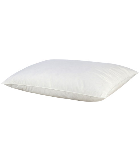 Pillow “Eco Duck”