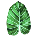 Bath mat “Leaf mat”, 58x88 cm. Green tropical leaf-shaped bath mat with emerald and dark green shades.