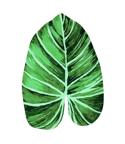 Bath mat “Leaf mat”. Bath mats